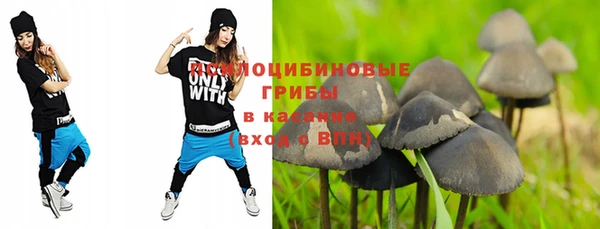 тгк Алексеевка