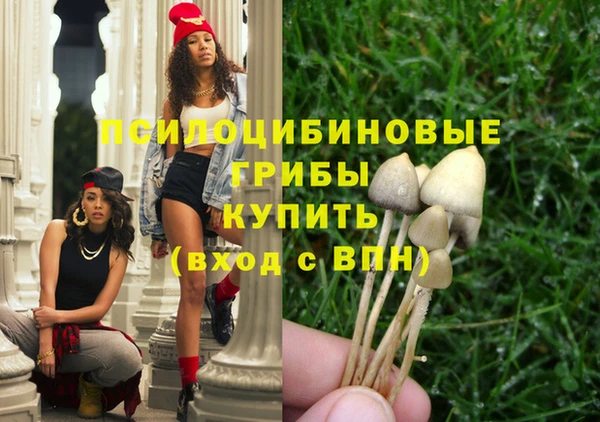 ПСИЛОЦИБИНОВЫЕ ГРИБЫ Алексин