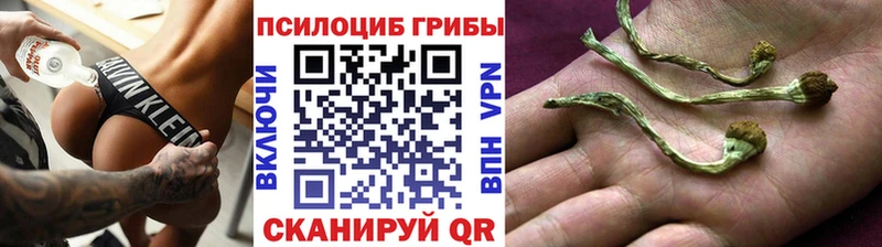 Галлюциногенные грибы мухоморы  MEGA вход  Кулебаки 