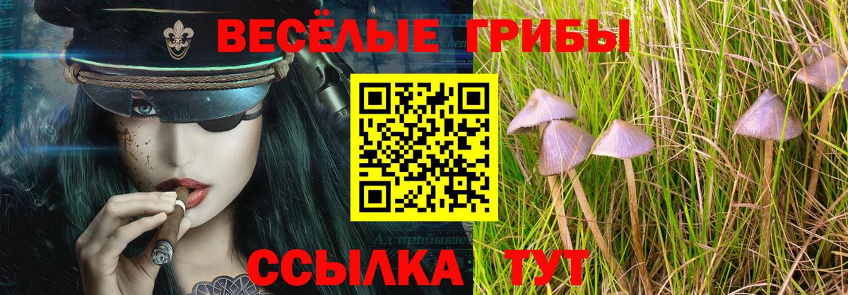 Галлюциногенные грибы Magic Shrooms Кулебаки